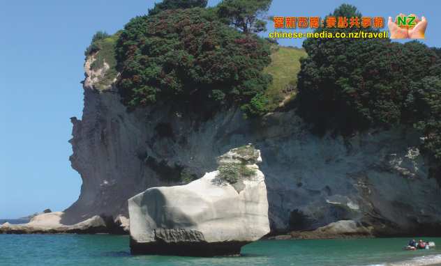 Hahei Cathedral Cove 教堂灣