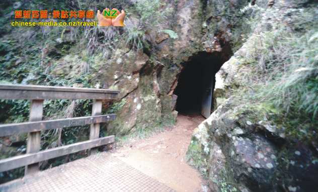 Karangahake Gorge 卡朗加哈科峽谷吊橋步道