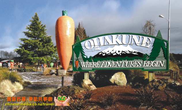Ohakune Carrot Country 奧哈克尼 滑雪之鄉 胡蘿蔔之都