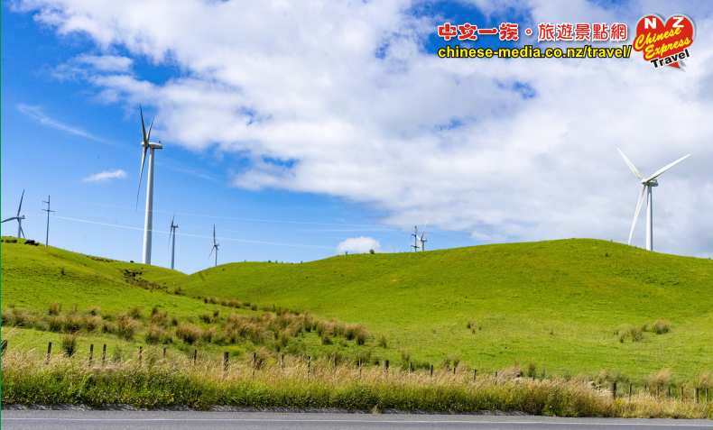 palmerstonnorth windfarm 風力發電場