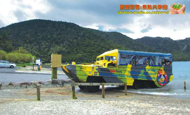 Rotorua Duck Tours 水陸兩用鴨子車船遊湖觀光