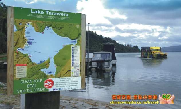 Rotorua Duck Tours 水陸兩用鴨子車船遊湖觀光
