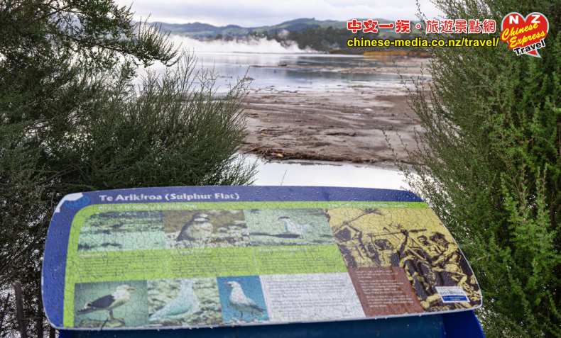 Rotorua 羅托魯瓦 Sulphur Flat 硫磺平原 日出