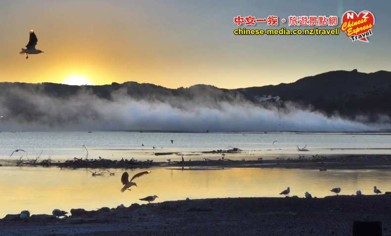 Rotorua 羅托魯瓦 Sulphur Flat 硫磺平原 日出