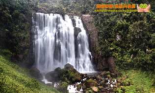 Te Anga Marokopa Falls 馬羅考帕瀑布