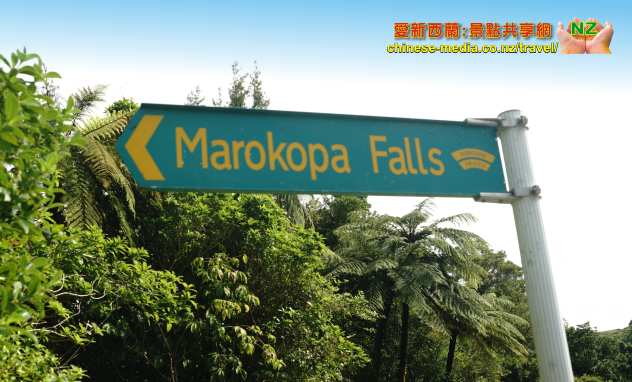 Te Anga Marokopa Falls 馬羅考帕瀑布
