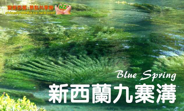 Tirau 蒂蕾 Putaruru Te Waihou 河上 Blue Spring 藍色清泉
