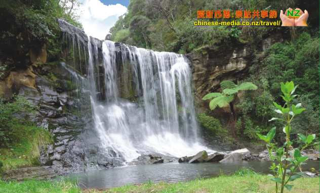 Mokoroa Falls Houheria Stream Falls 莫酷旺卡情侶瀑布 胡希維亞溪流瀑布