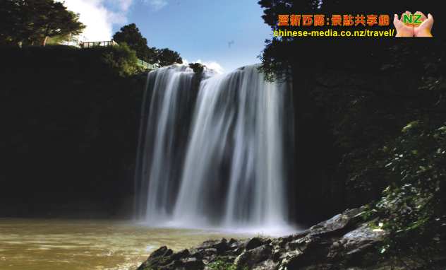 Whangarei Falls 方加雷新西蘭最上鏡瀑布