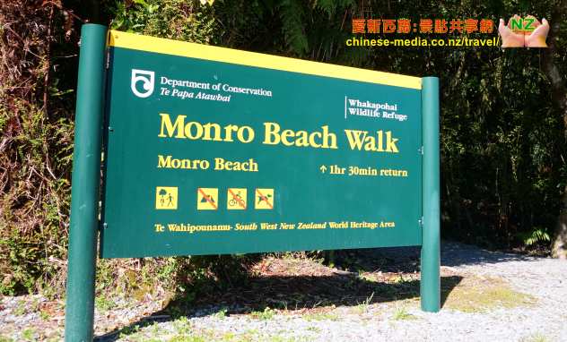 Monro Beach Walk 蒙羅海灘步道 Fiordland Crested Penguin 峽灣鳳冠企鵝