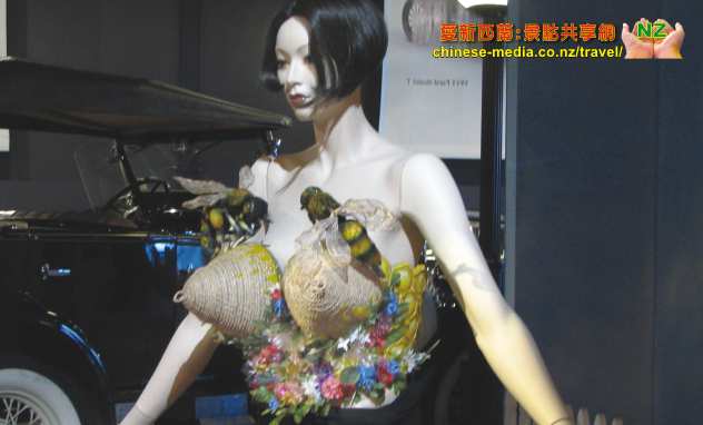 national WOW Museum, World of Wearable Art 藝術衣著世界 Classic Cars Collection Museum 汽車典藏館