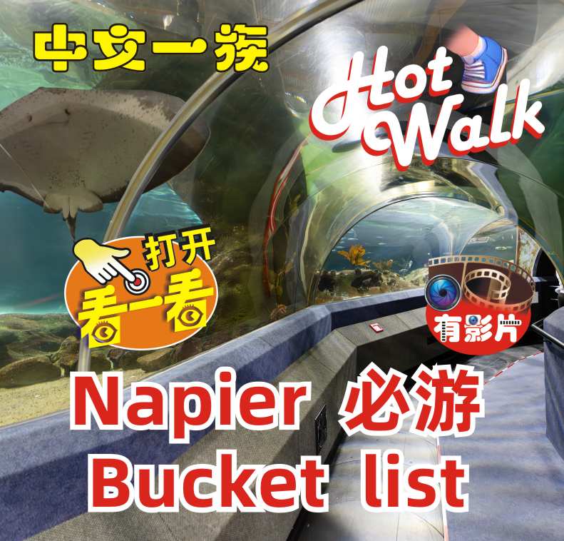 中文一族探索新西兰旅游