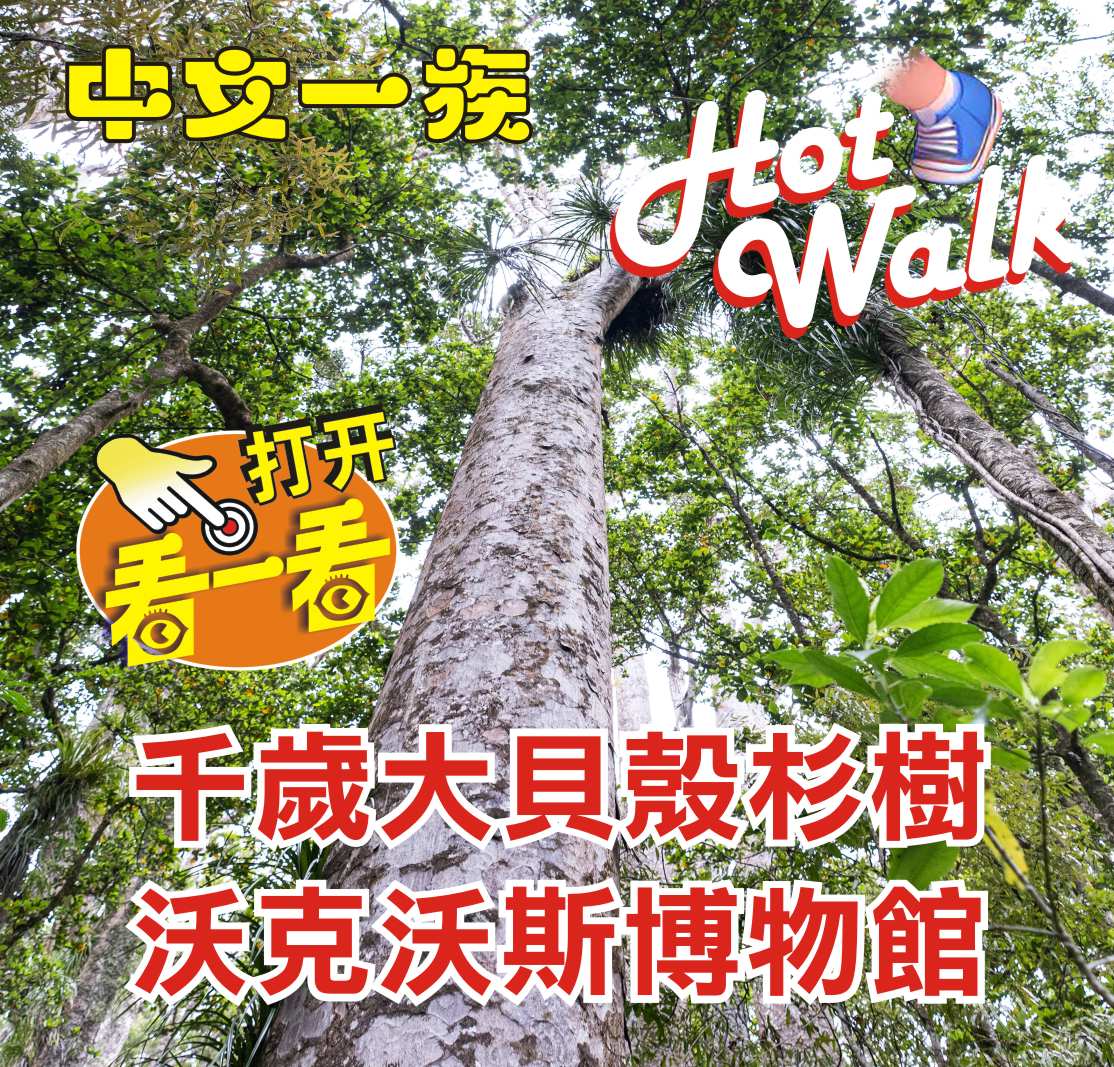中文一族探索新西兰旅游