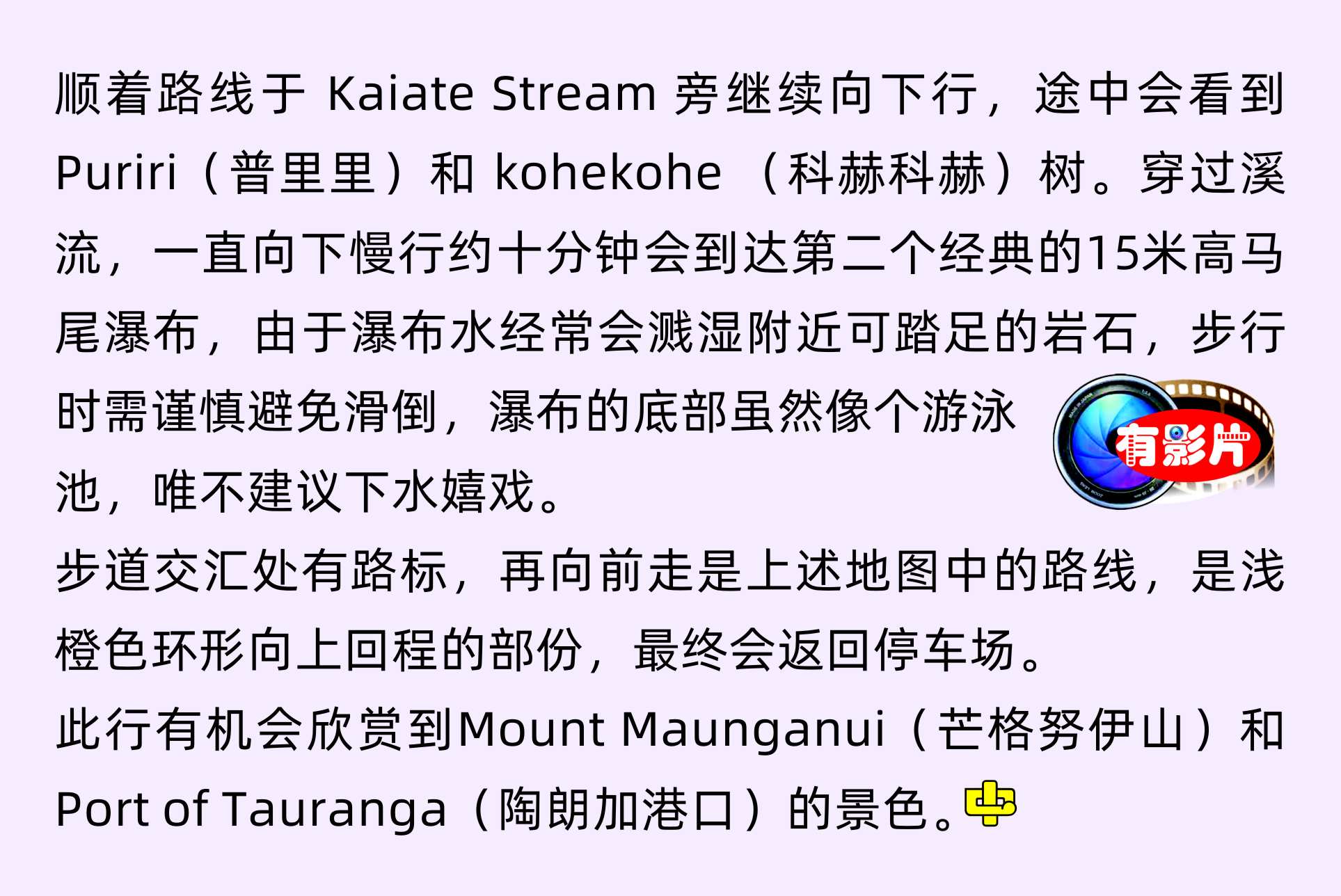 Tauranga 陶朗加 Kaiate Falls 凱特瀑布  中文一族傳媒新西蘭旅遊景點