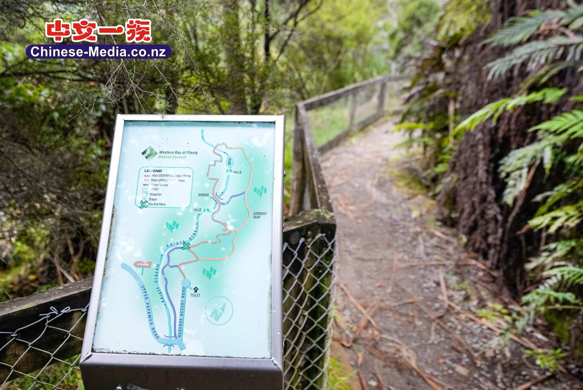 Tauranga 陶朗加 Kaiate Falls 凱特瀑布  中文一族傳媒新西蘭旅遊景點