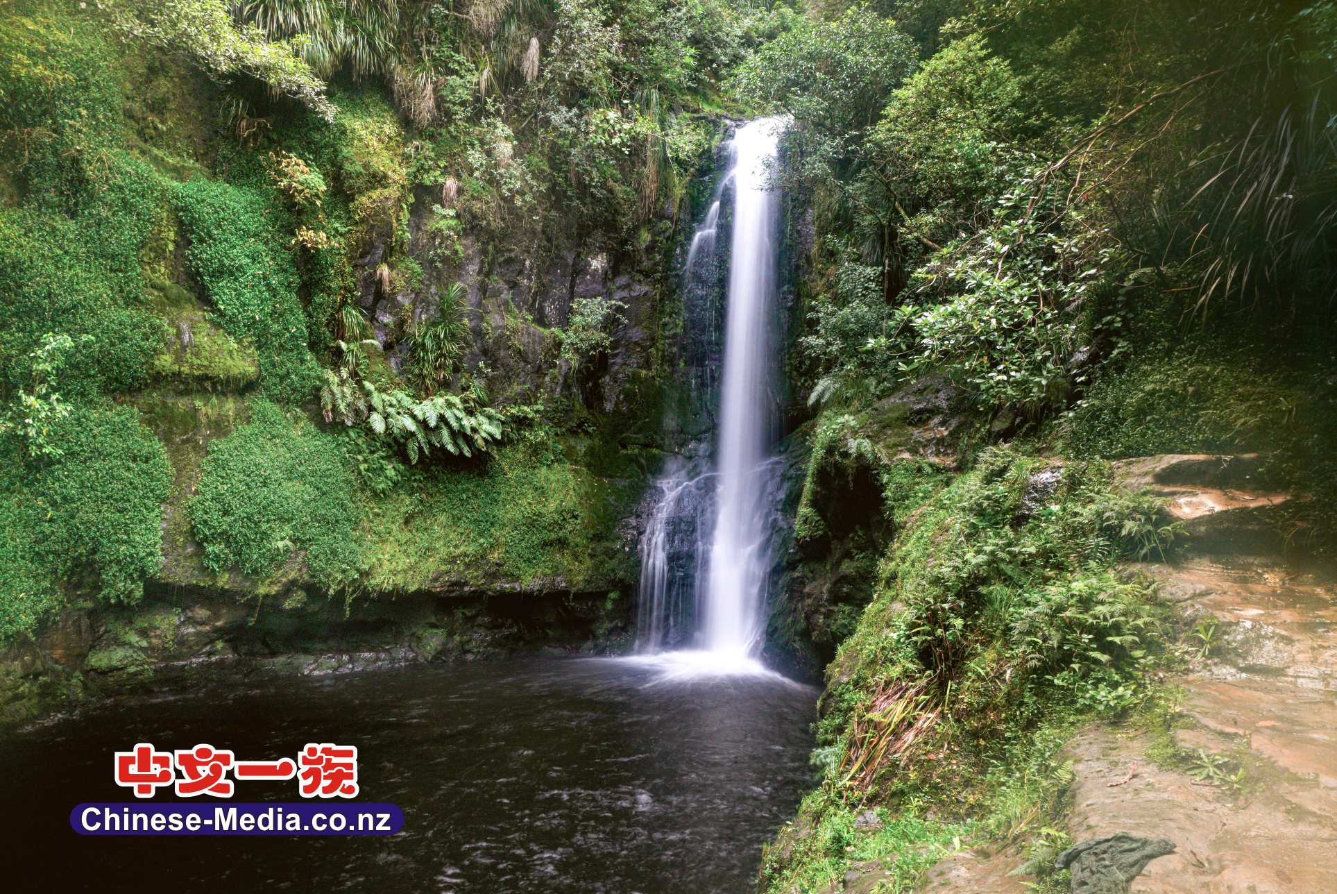 Tauranga 陶朗加 Kaiate Falls 凱特瀑布  中文一族傳媒新西蘭旅遊景點