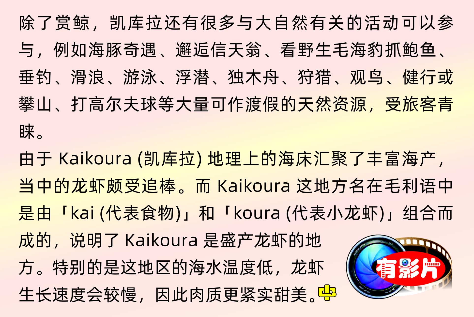 Kaikoura 凱庫拉 鯨魚 觀鯨 Hikorangi 龍蝦      中文一族傳媒新西蘭旅遊景點