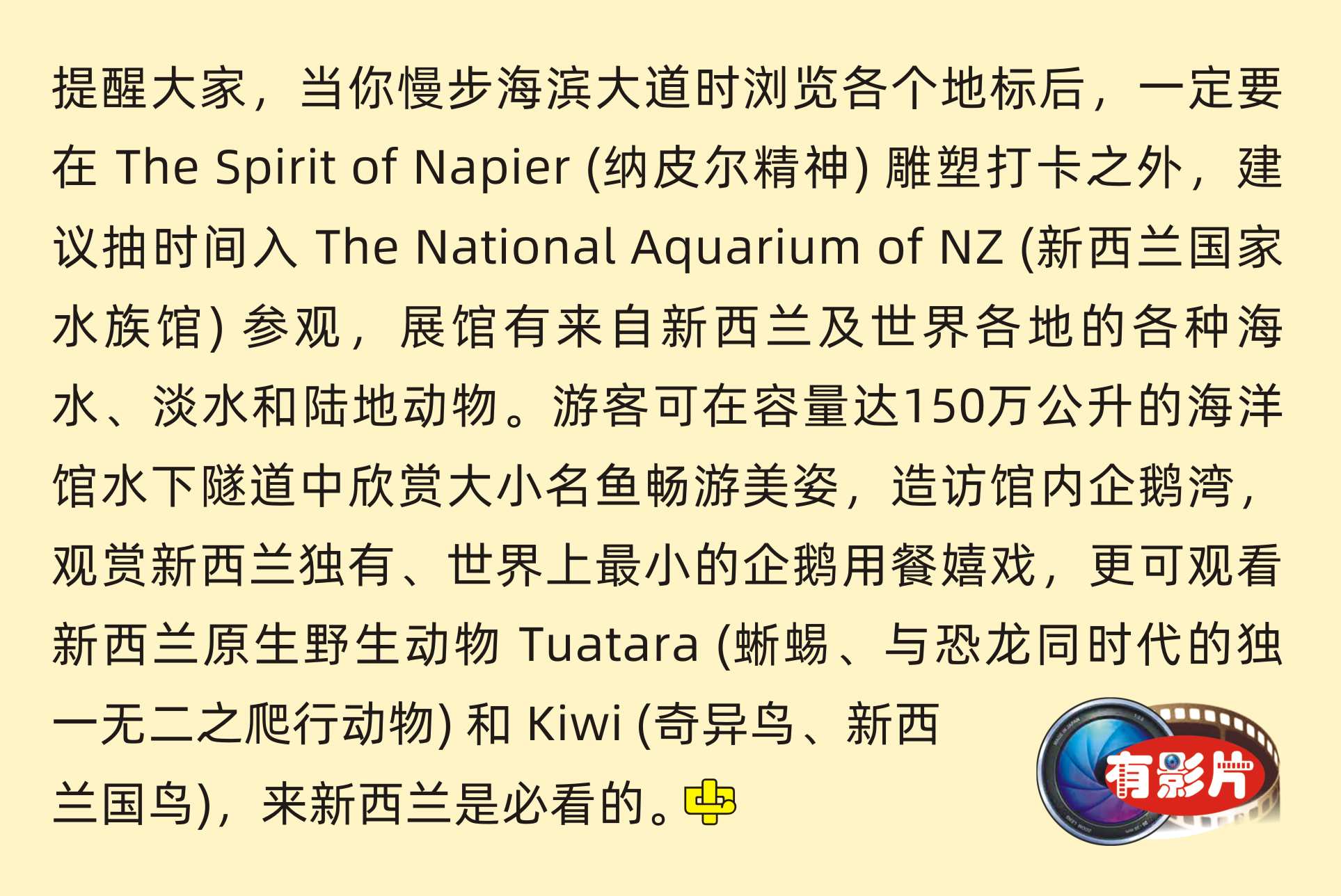 Napier 納皮爾 The National Aquarium  新西蘭國家水族館 Faraday Museum of Technology     中文一族傳媒新西蘭旅遊景點