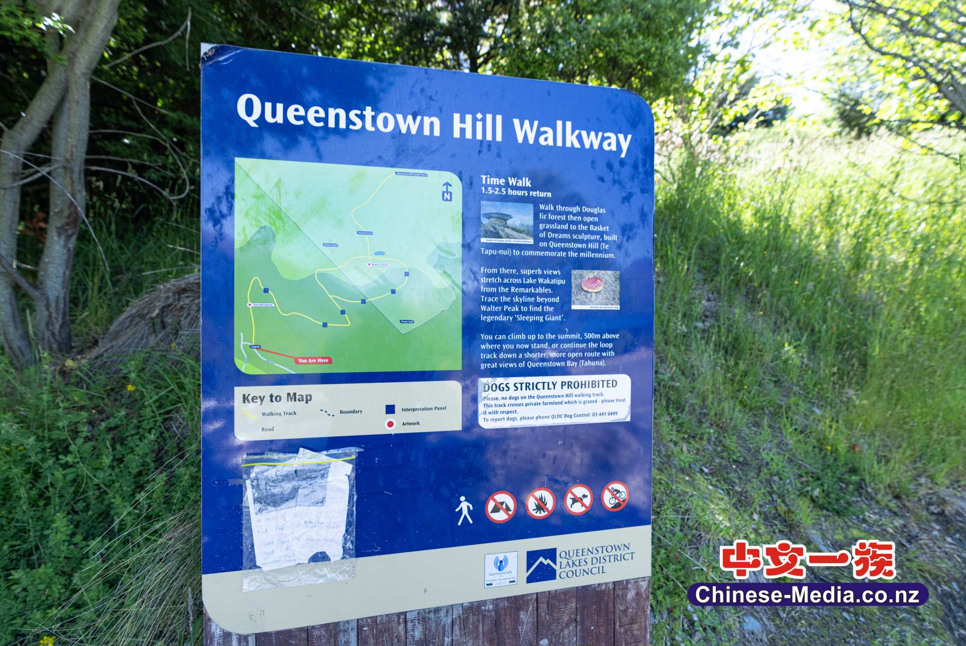 Queenstown Hill Time Walk 皇后镇山 时光步道 Lake Whakatipu Basket of Dreams 梦之篮   中文一族傳媒新西蘭旅遊景點