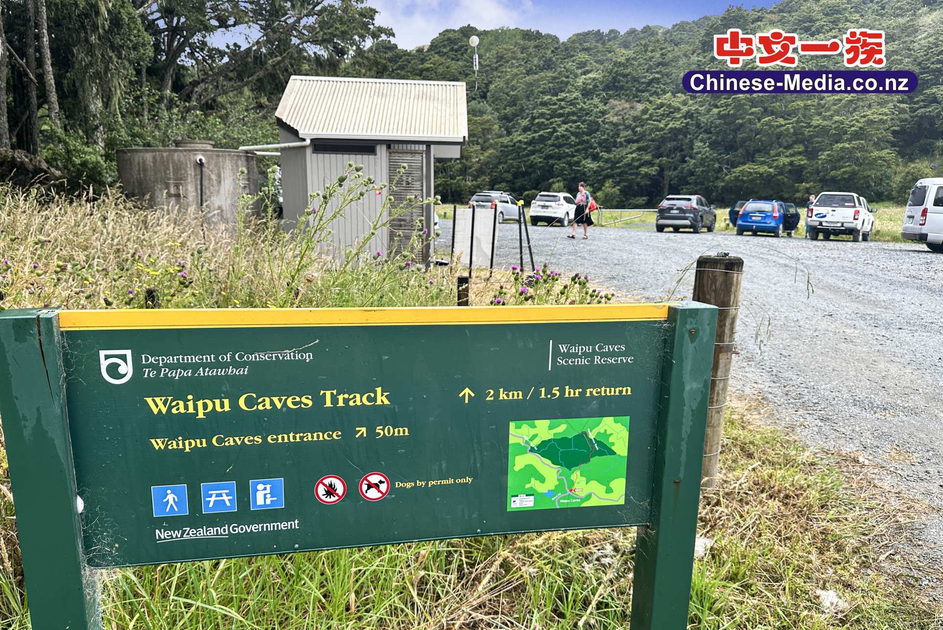 Waipu Caves , Glowworm Cave , 懷普螢光洞, 中文一族傳媒新西蘭旅遊景點