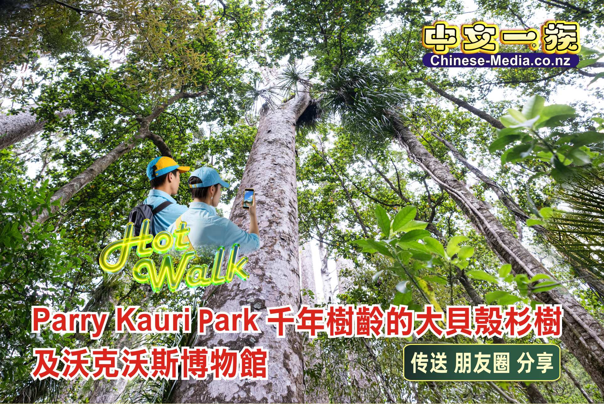 Parry Kauri Park  Warkworth Museum 沃克沃斯鎮 帕里貝殼杉公園       中文一族傳媒新西蘭旅遊景點