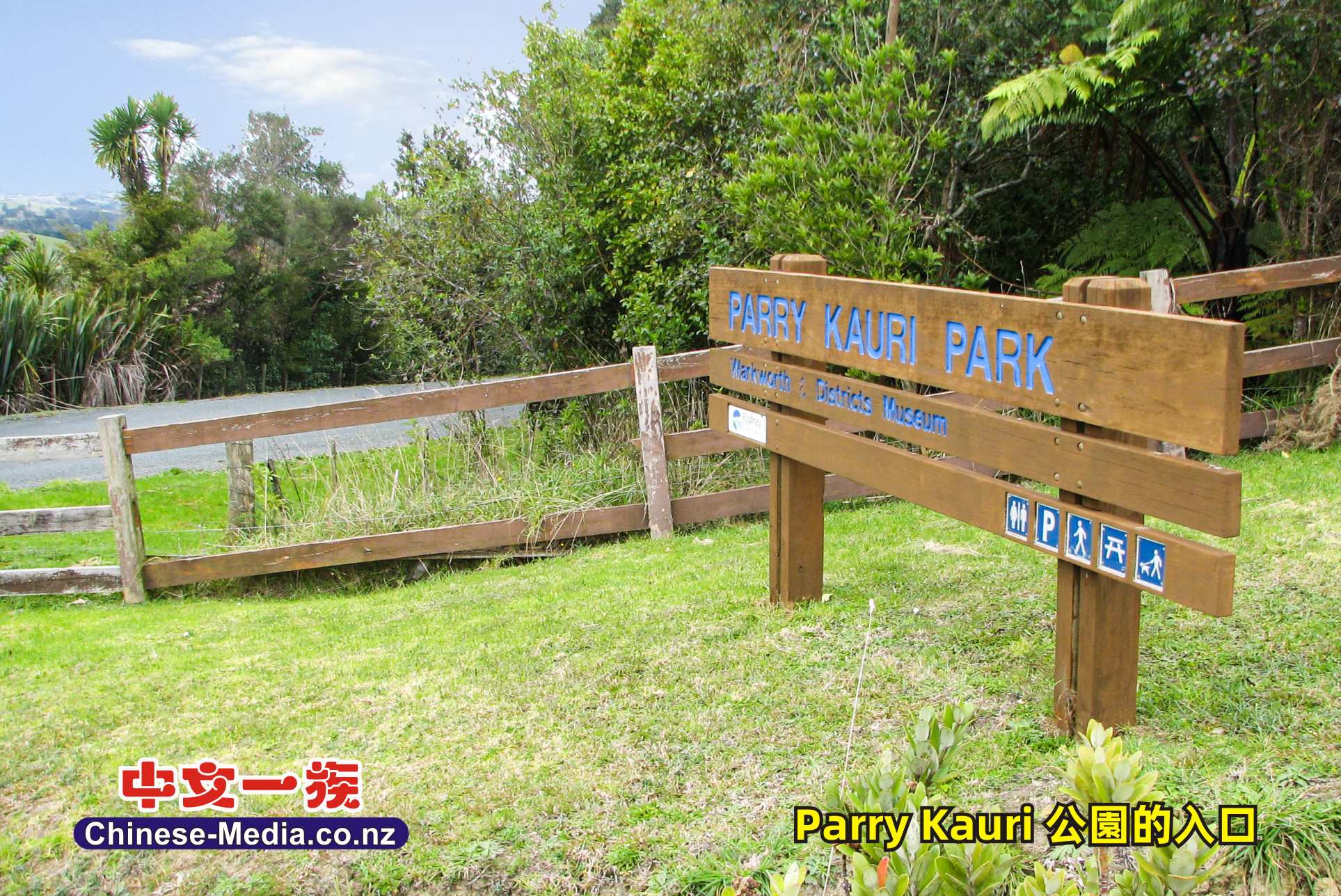 Parry Kauri Park  Warkworth Museum 沃克沃斯鎮 帕里貝殼杉公園       中文一族傳媒新西蘭旅遊景點