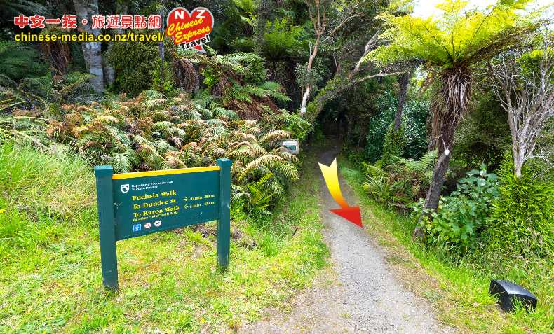 Stewart Island 斯圖爾特島 Rakiura National Park 觀察岩視野點 Observation Rock Viewpoint